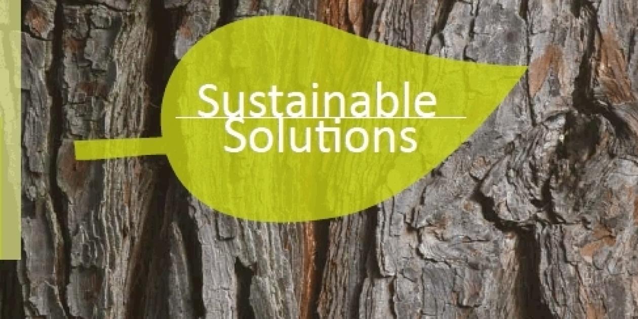 POLYREY - Sustainable Solutions