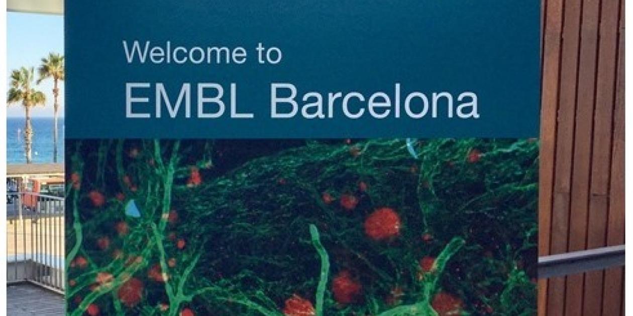 El Laboratorio Europeo de Biología Molecular abre una sede en Barcelona