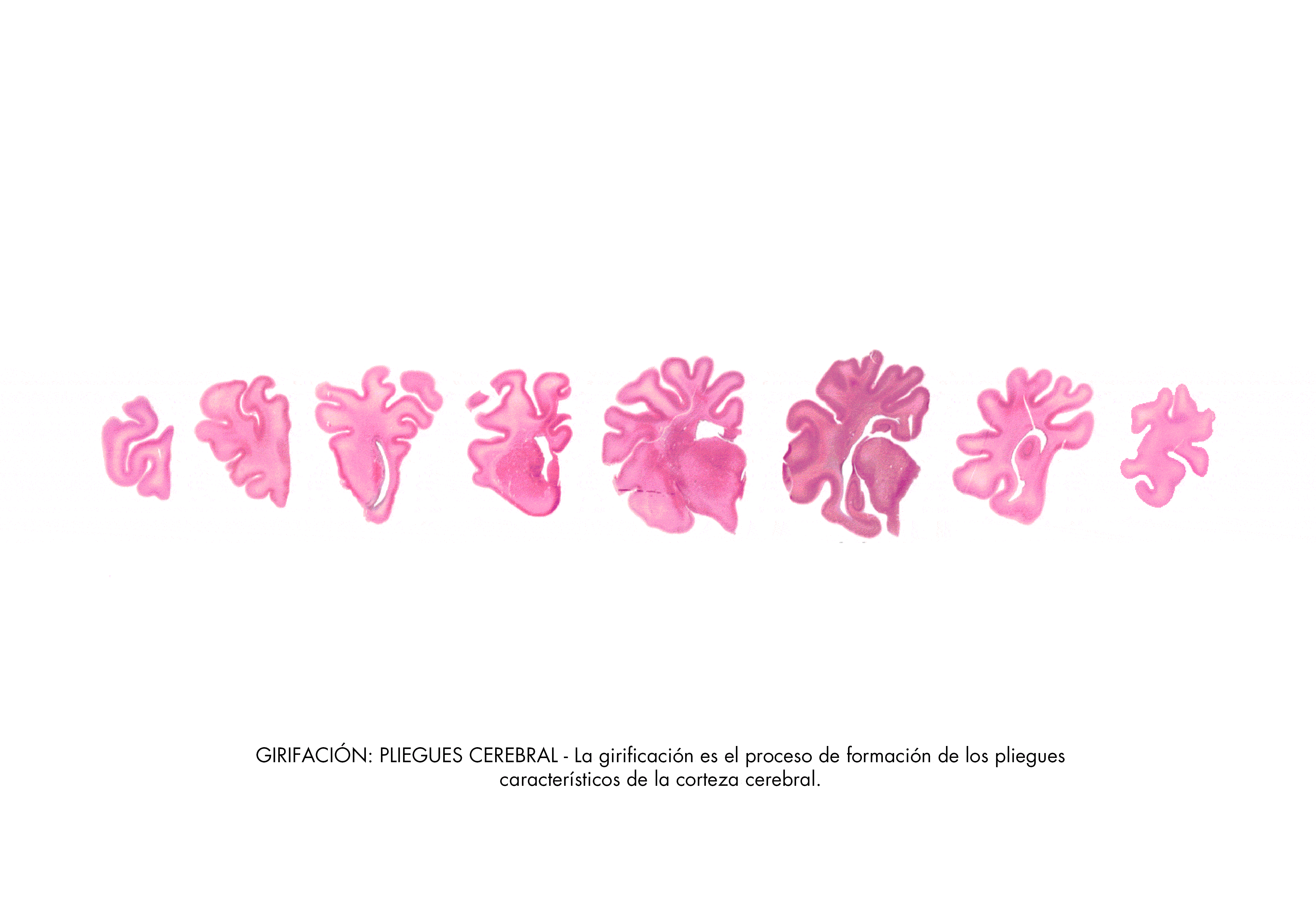 imagen 01