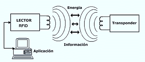 imagen 05