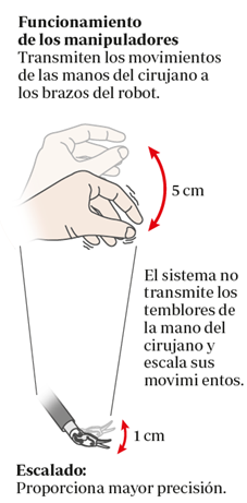 imagen 06