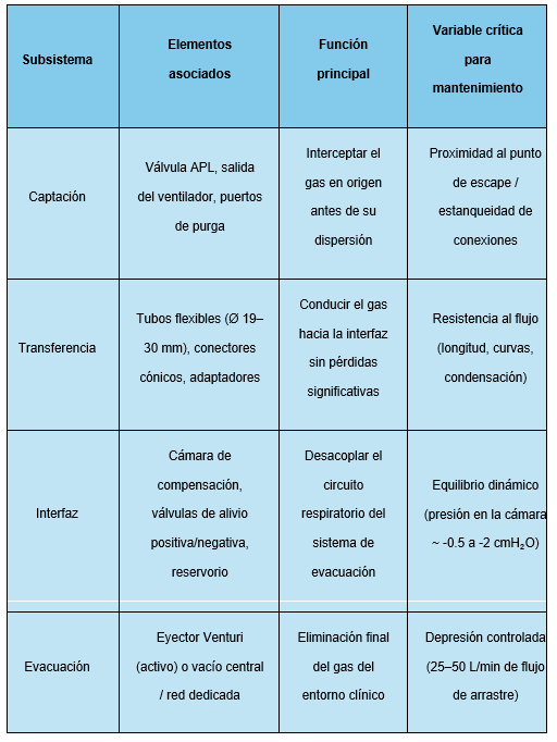 imagen 05