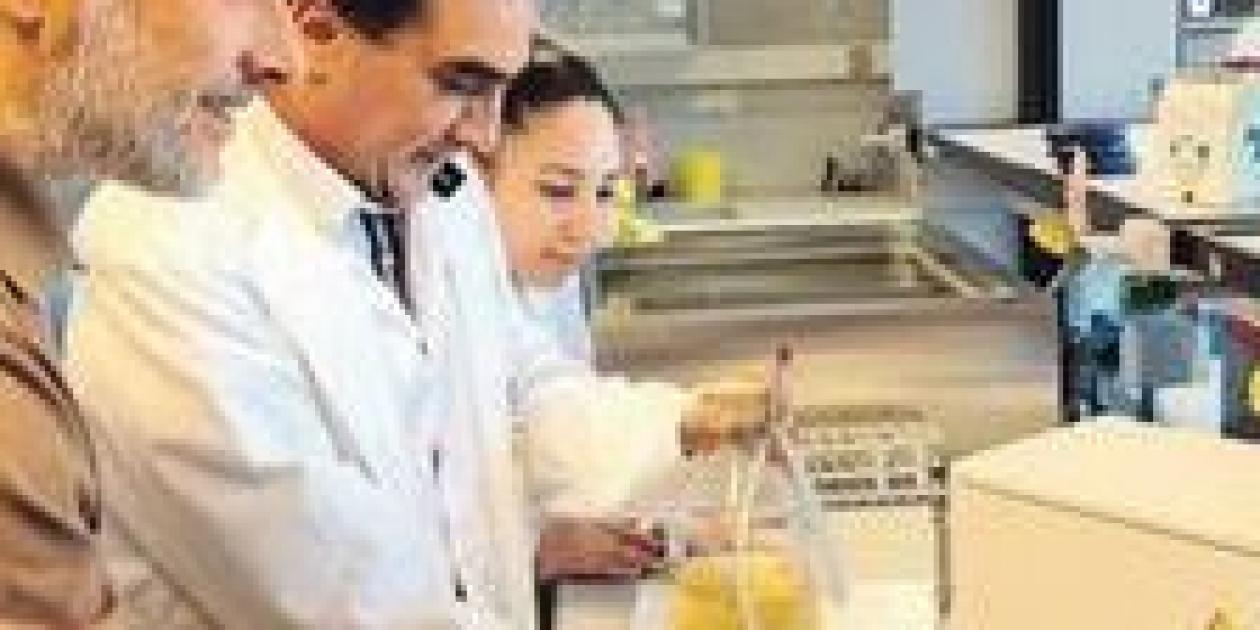 Equipo para la eliminación de la Legionella en el agua con Ozono