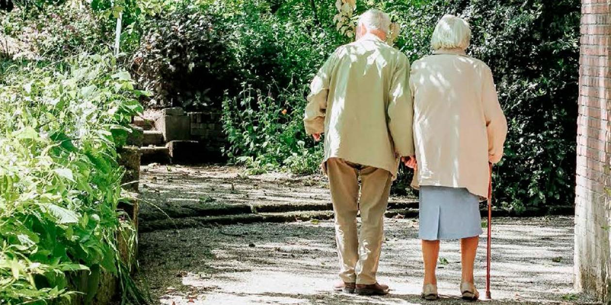 Jardines terapéuticos para el bienestar de las personas