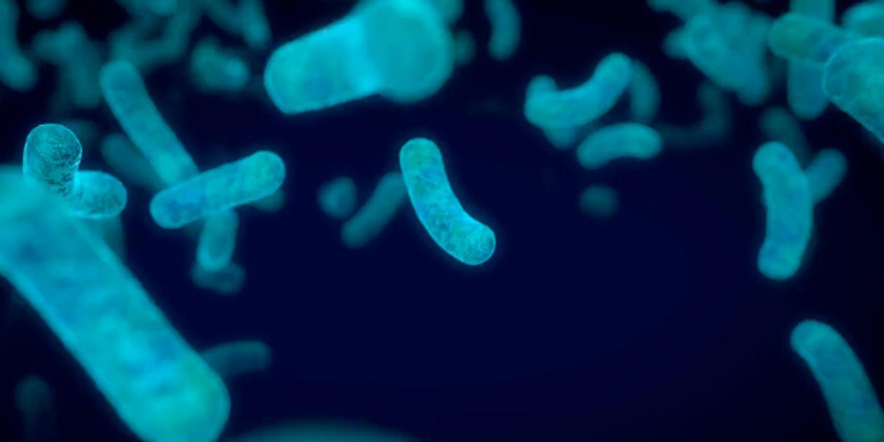 ULBIOS participa en el Congreso Nacional de Legionella y Calidad Ambiental
