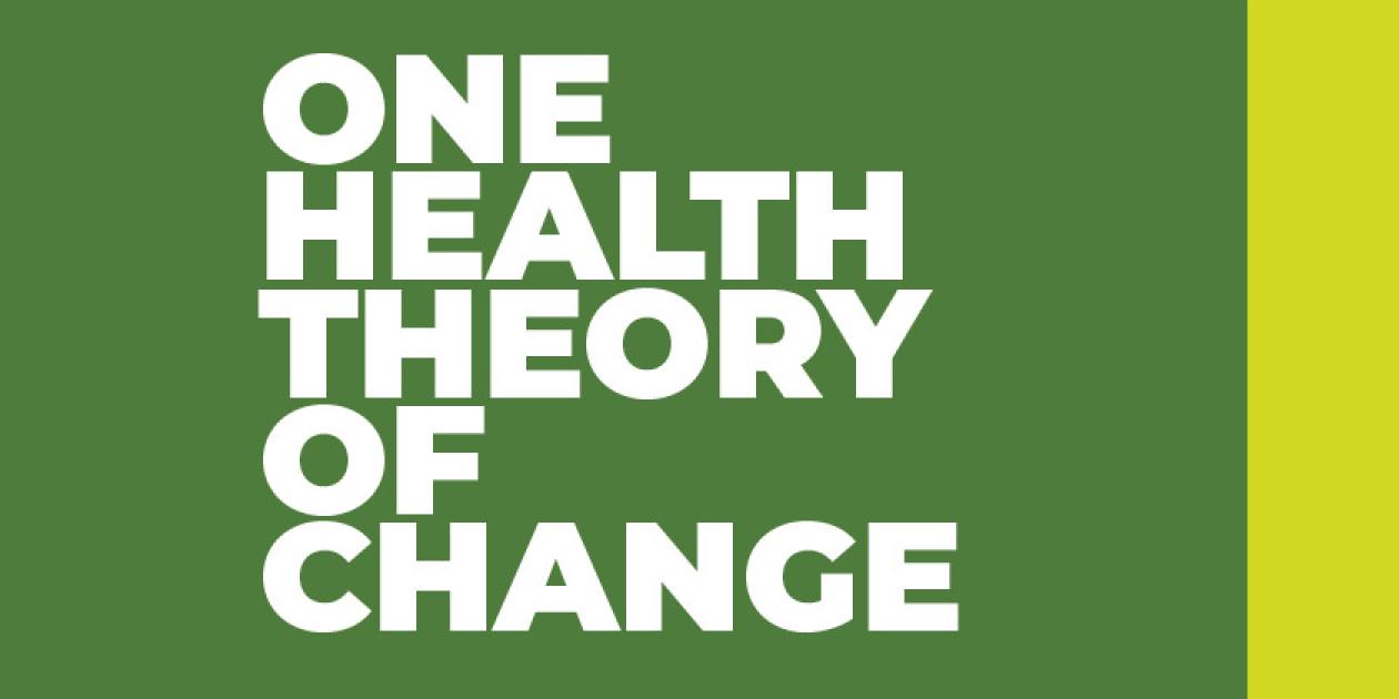 One Health Theory of Change 