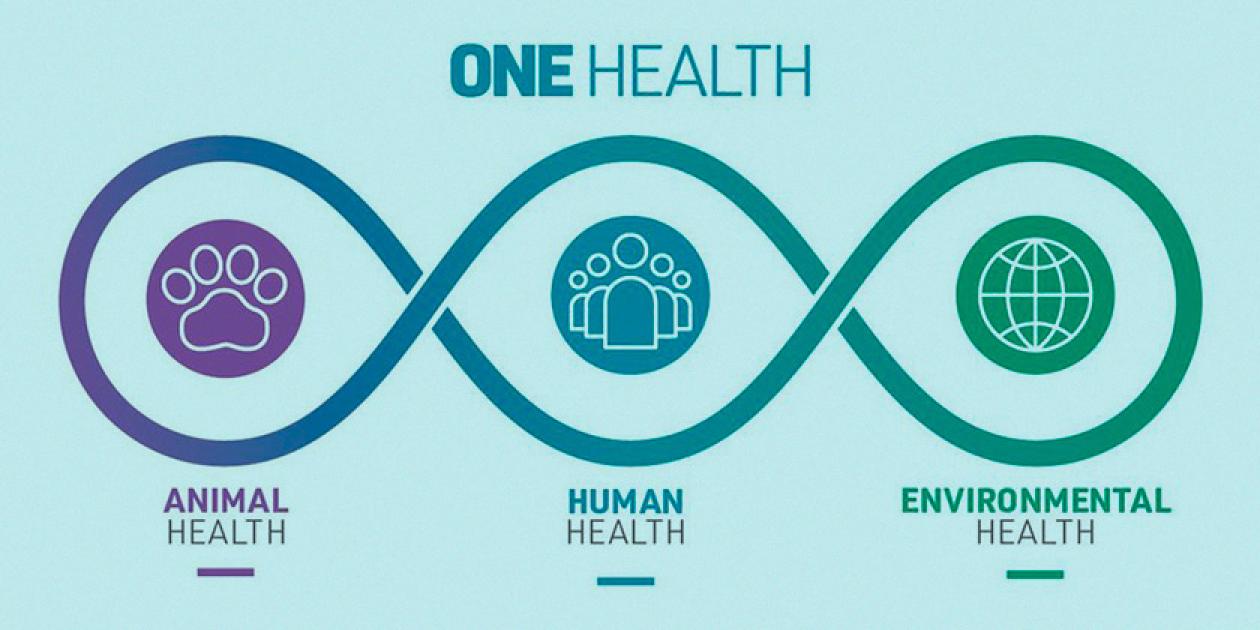One Health. Redimensionando el ámbito de la Salud Pública a través de una visión multidisciplinar y estratégica