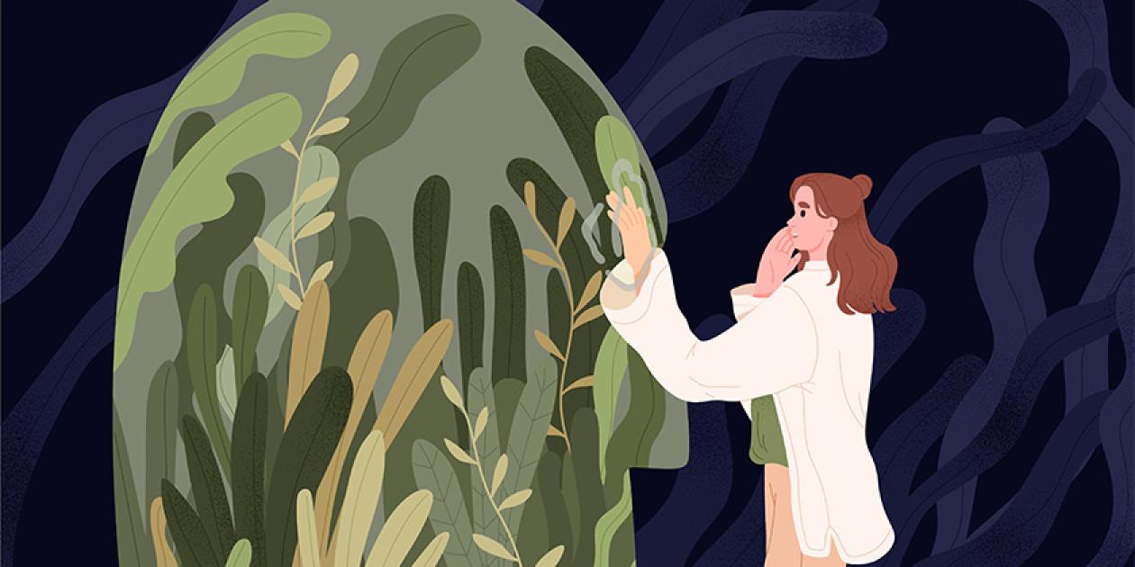 Biofília y fractales estadísticos en la arquitectura: cuando la naturaleza no puede ser