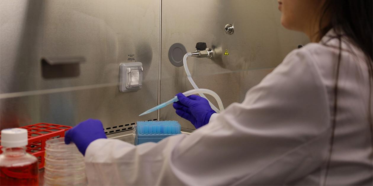 Alianza entre el Hospital del Mar Research Institute y el Banc de Sang i Teixits para acelerar la llegada de los tratamientos a los pacientes