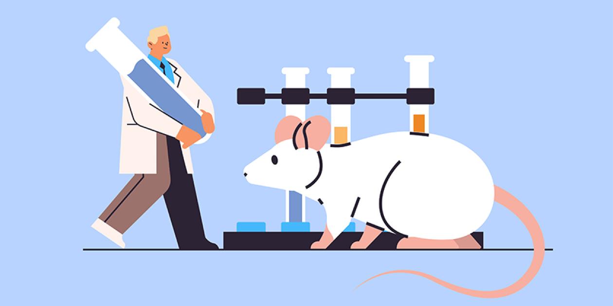 El pulso de la innovación: Dentro de un laboratorio de investigación biomédica moderno