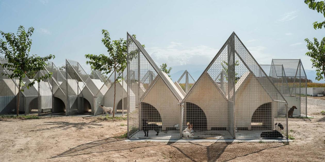 Ciudad de perros. Centro de acogida de animales