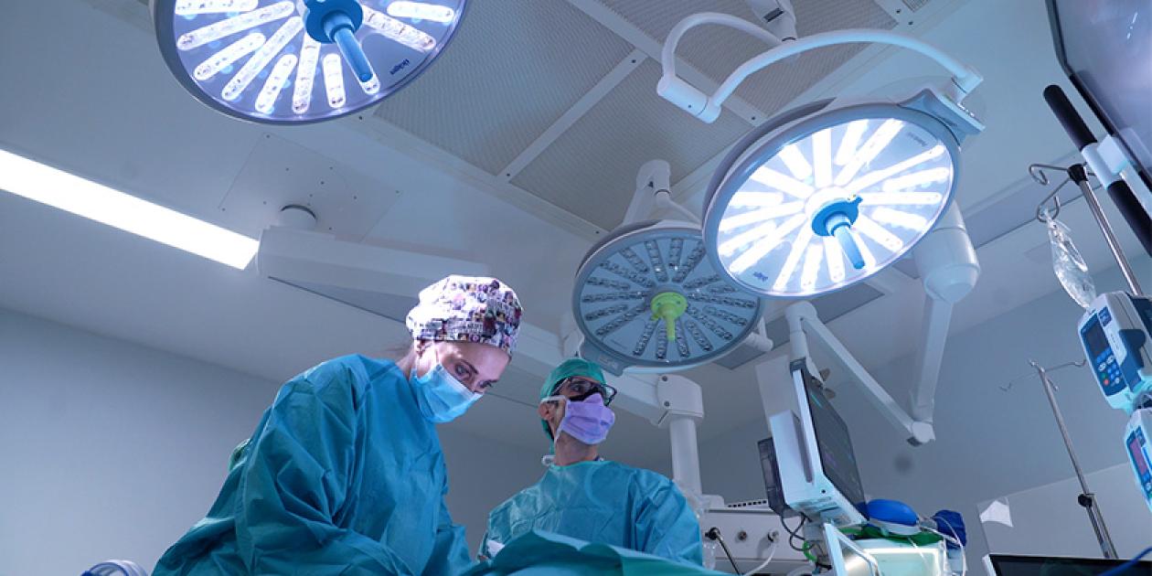 El Nuevo Hospital 12 de Octubre celebra su primer año con más de 300 trasplantes y 5.000 nacimientos