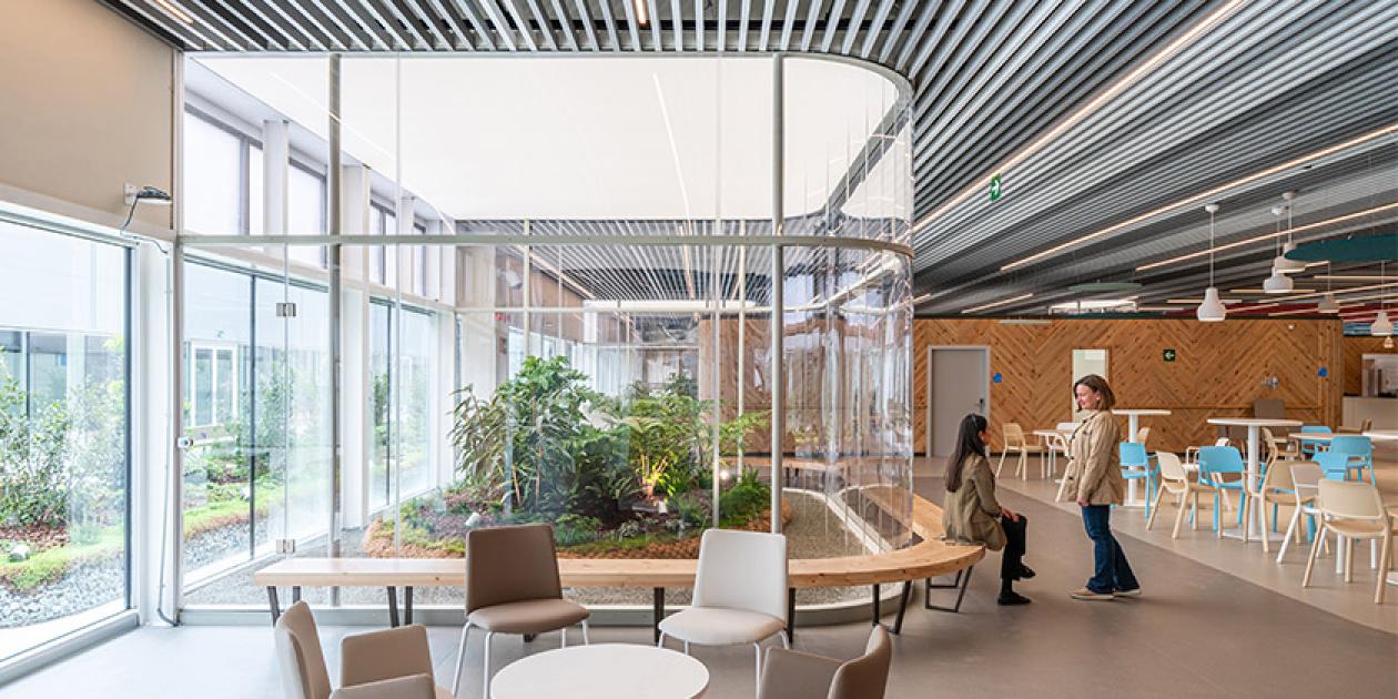 Teoría de entornos enriquecidos. Aplicación en la arquitectura hospitalaria