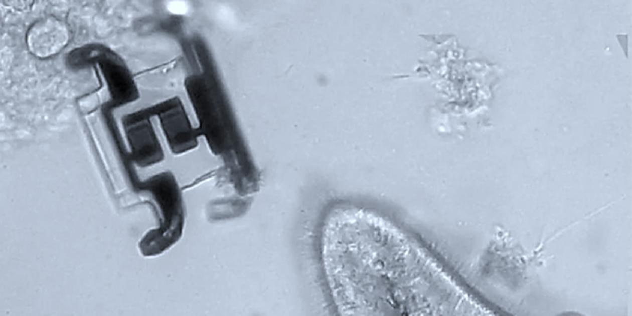 Nanobots: Fundamentos, avances y perspectivas en medicina y aplicaciones industriales