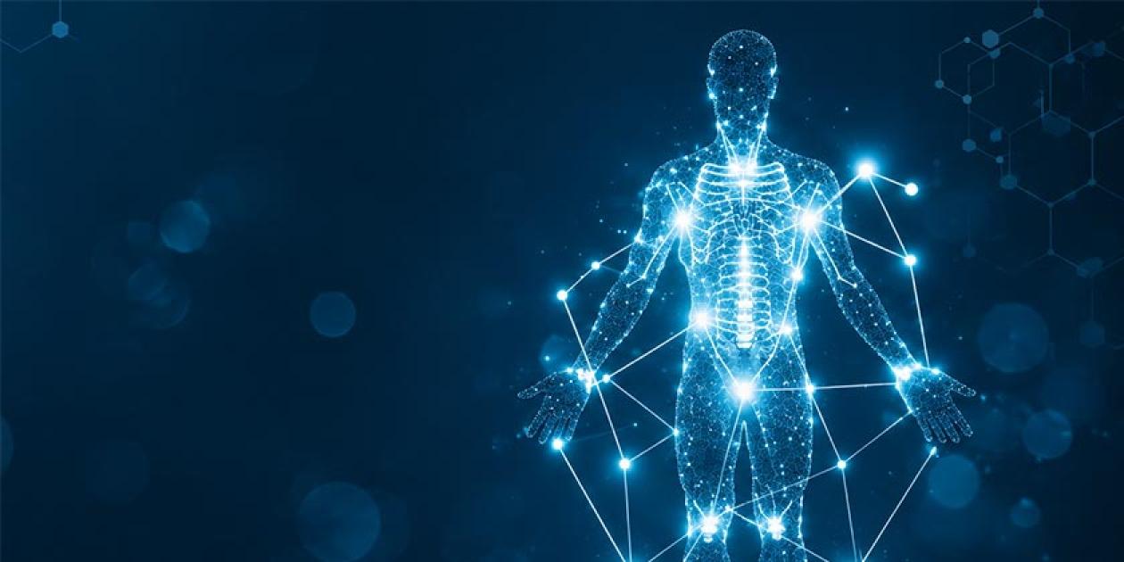 II Jornadas de Ingeniería Biomédica