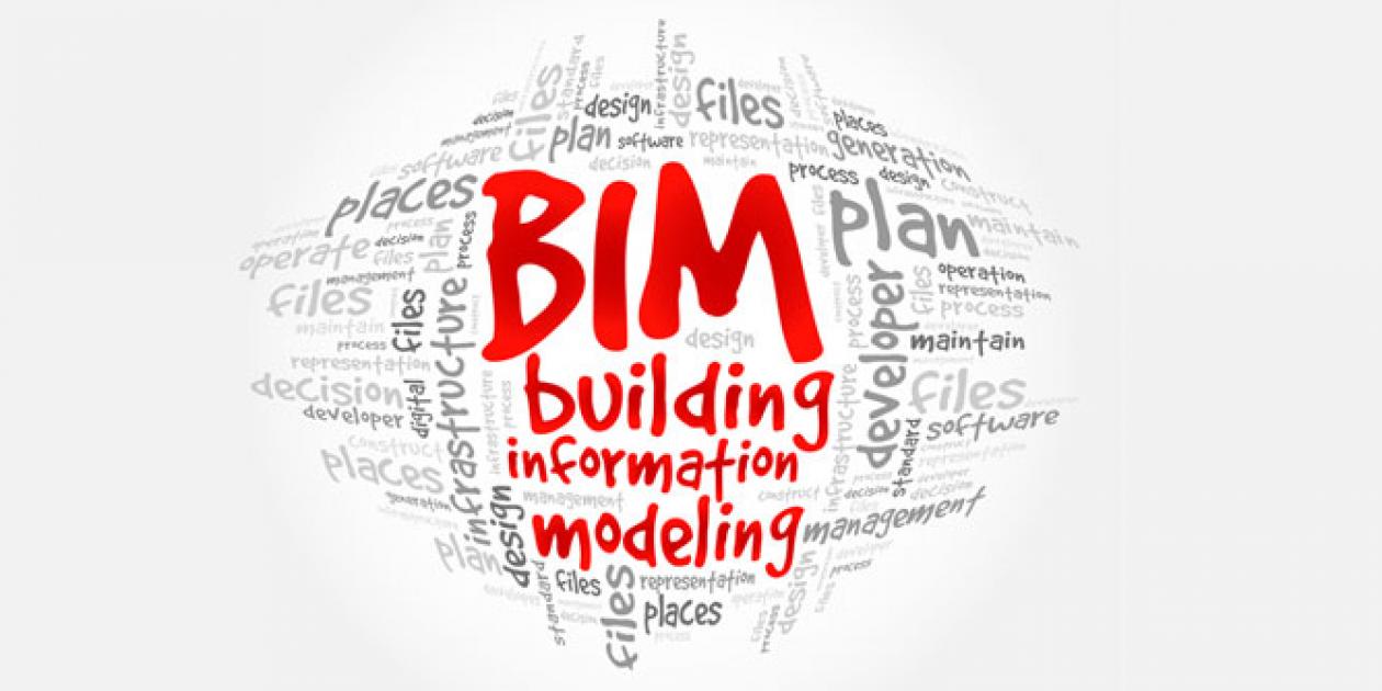 Resolución TES/188/2019 por el que se determinan los contratos en que se debe aplicar la metodología BIM