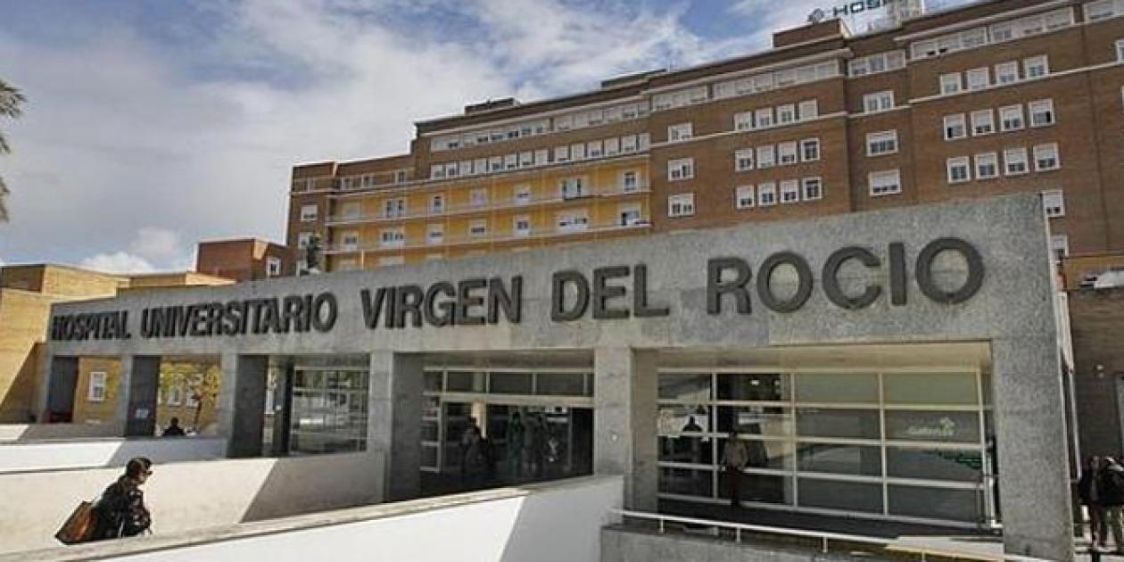 Obras de las Medidas de Ahorro y Diversificación Energética del Hospital Virgen del Rocío