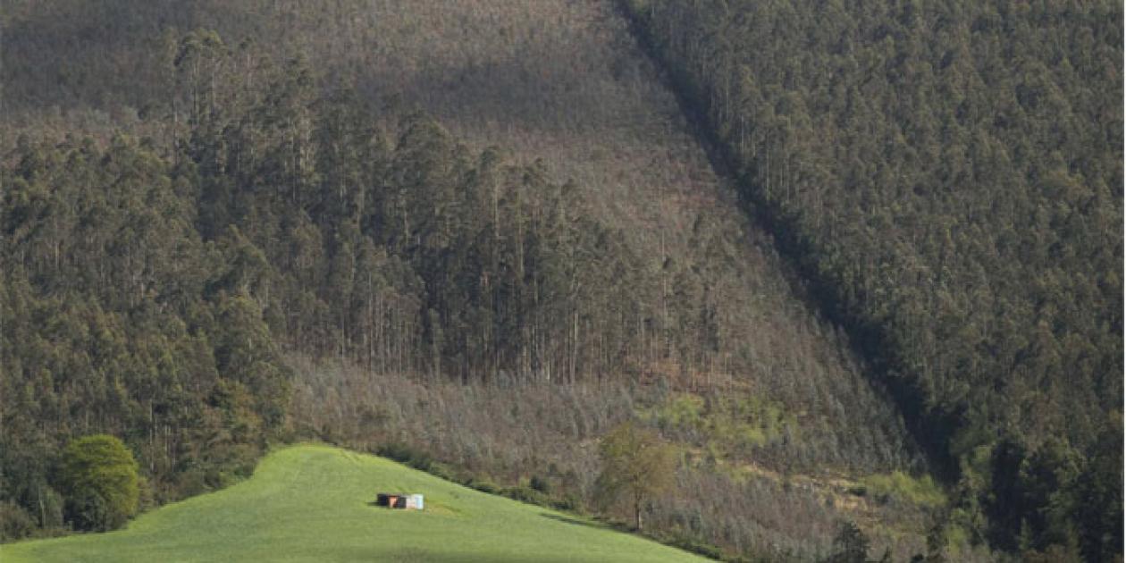 Galicia promueve la construcción en madera de centros de salud y colegios