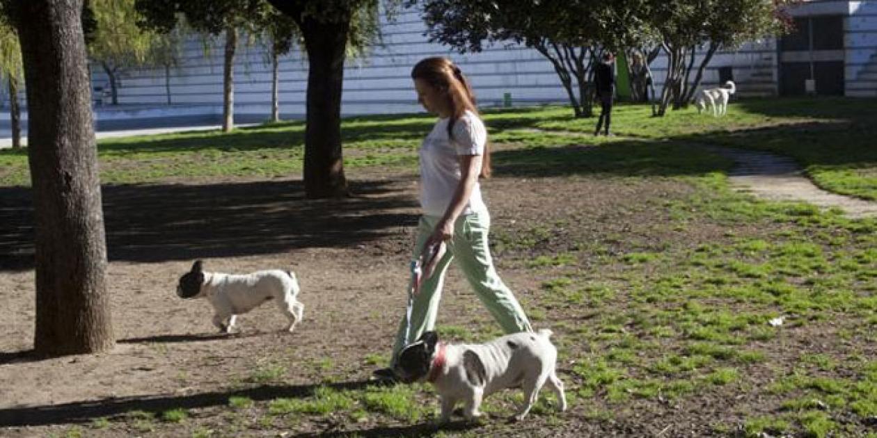 Vivir rodeado de ruido agrava los ictus, mientras que el verde los mitiga