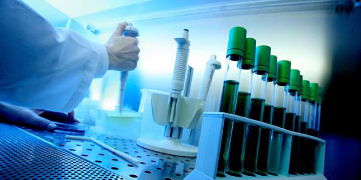 Evaluación técnica y clínica de tecnología biomédica en procesos de adquisición: un enfoque en evaluación de tecnologías en salud