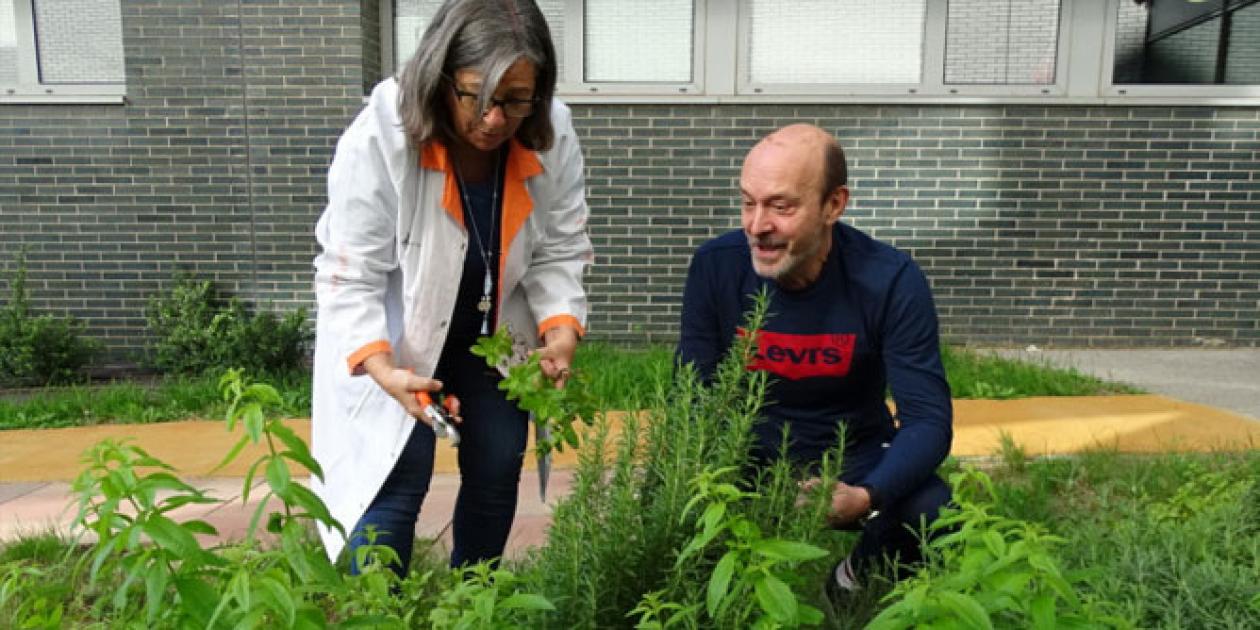 El Hospital de Sant Pau estrena jardines terapéuticos